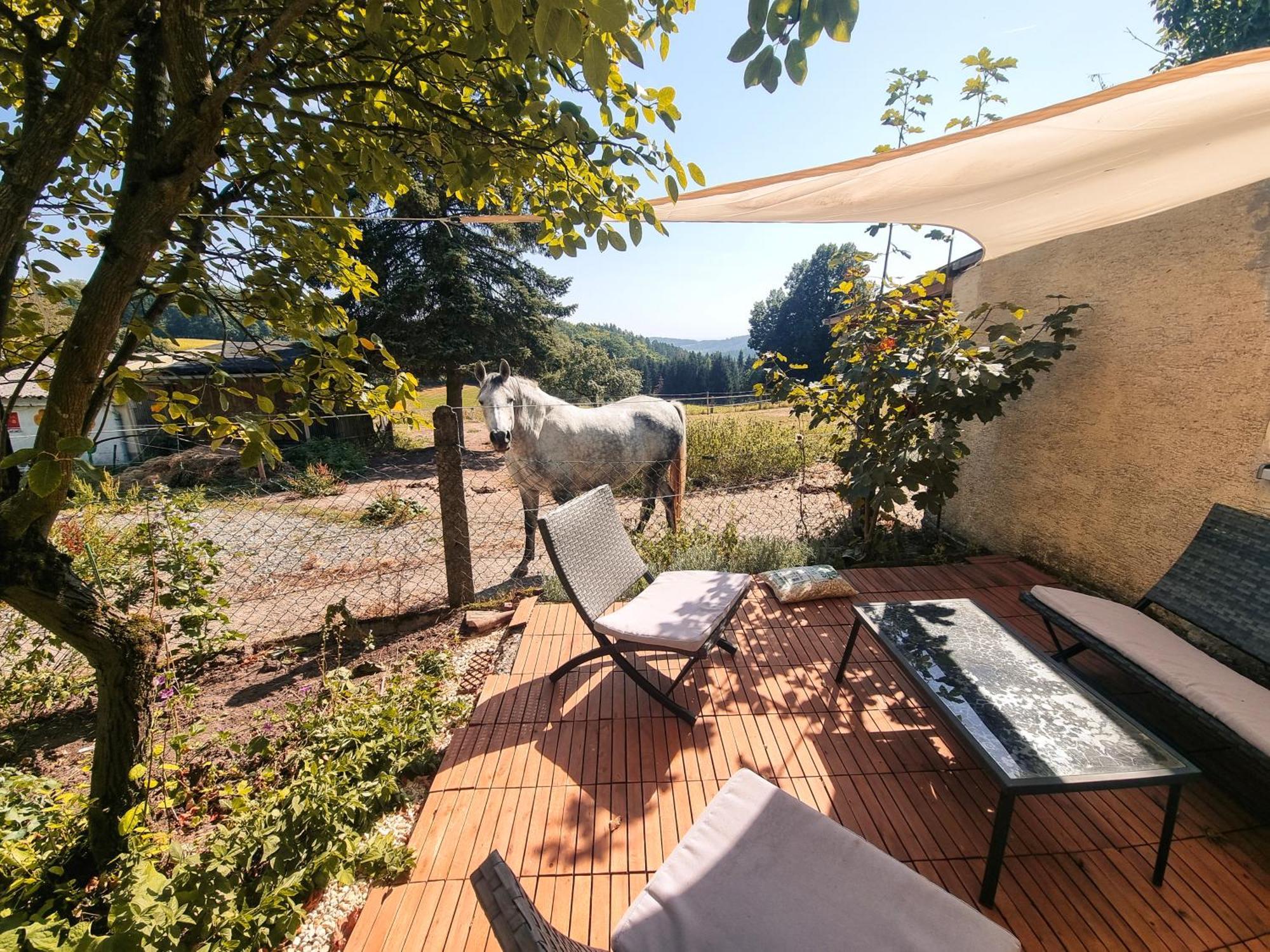 2 Zimmer Wohnung Mit Traumhaftem Blick In Die Natur Neustadt bei Coburg Exterior photo